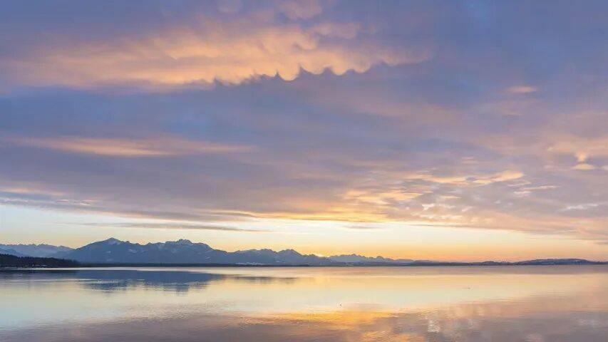 家电企业拿什么拥抱2026年？