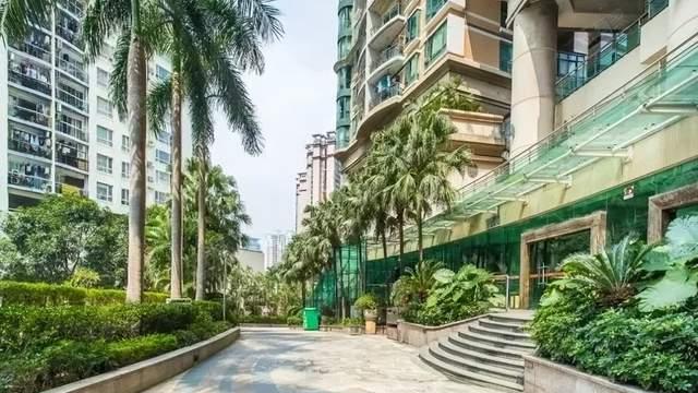 福田中心｜水围村金港豪庭B座23D，配套优质，刚需优选！