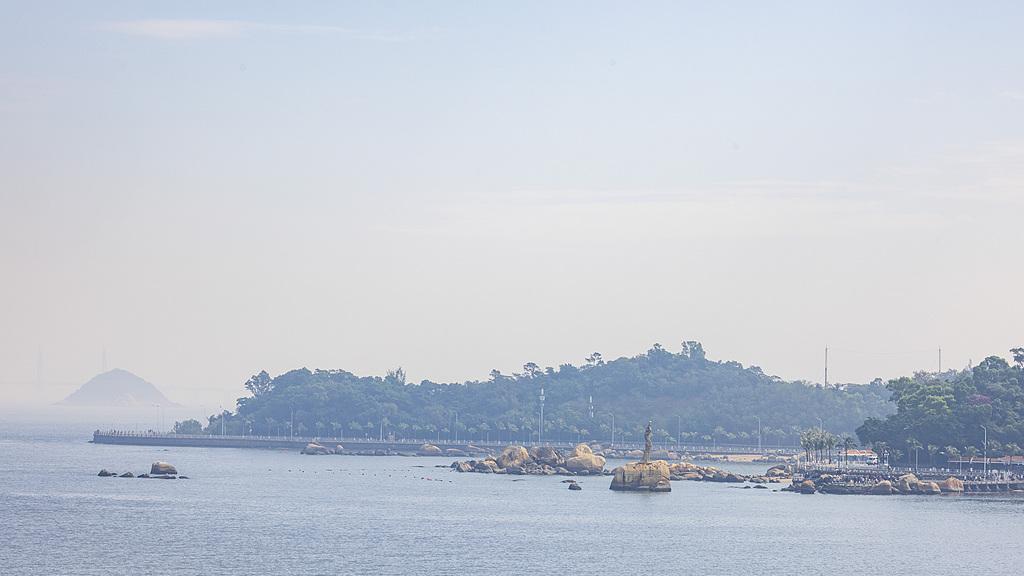 蝴蝶大乐透26009期分析，本期的温码是重点，或许会开出3个号码