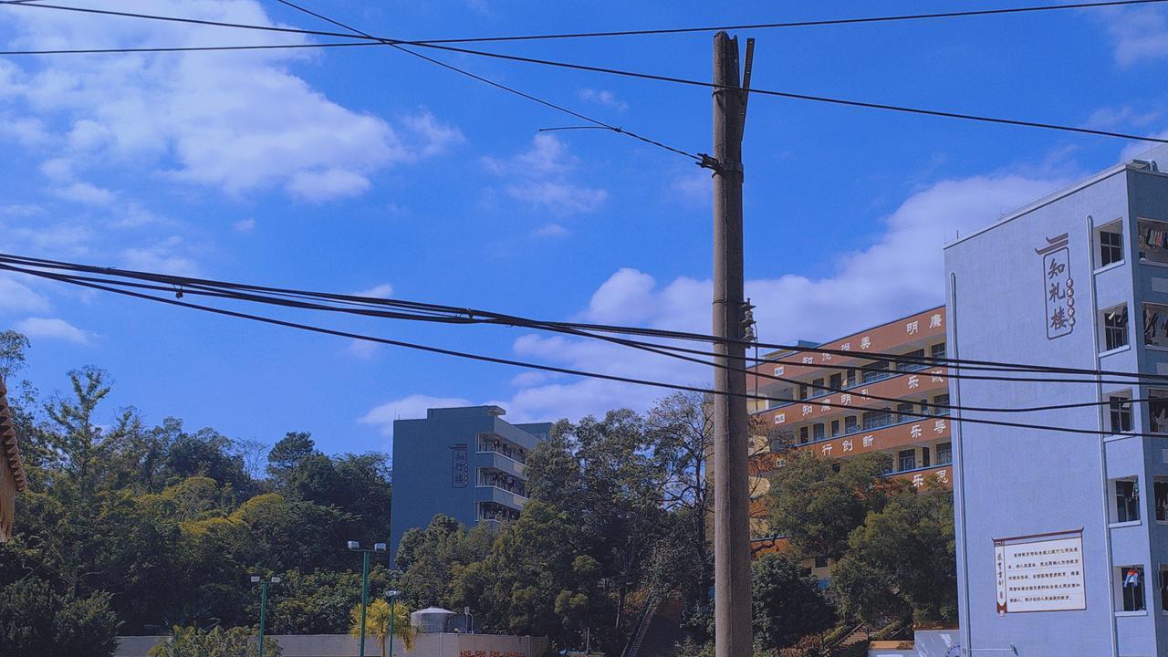 理想与现实：职业教育分流的困境与出路