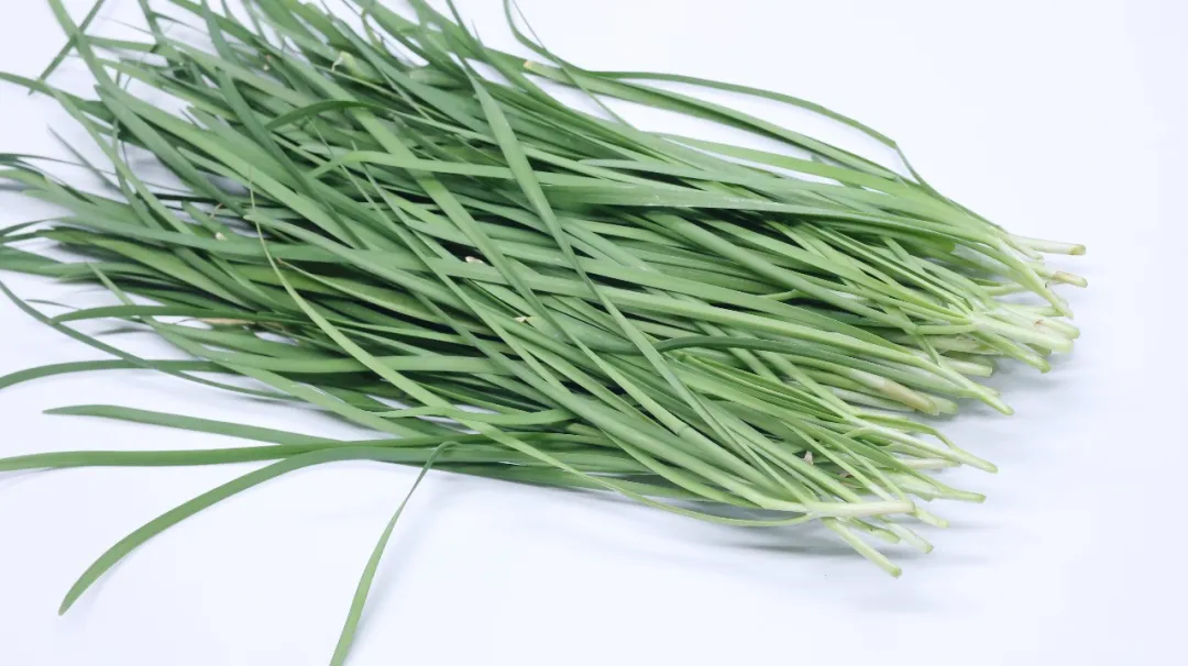 适合春天吃的蔬菜，它的种子可大补阳气、强壮腰肾，适合阳虚之人