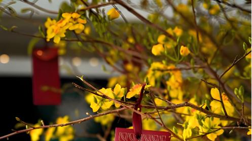 大年初五迎财神：酒店业主如何“开源+节流”，把财神请进门