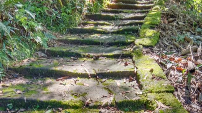 踏行千年茶马古道，感受立体景观与原生村落风情