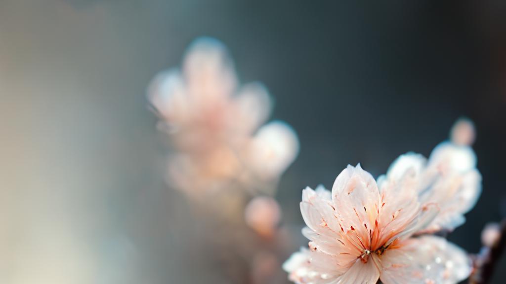 “老”究竟是怎么回事？让过来人告诉你：怎么过才算是没有白活！