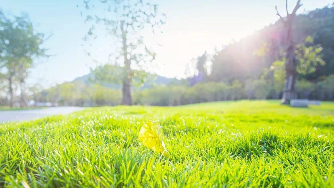 沈阳春季皮肤过敏反复不好？根源在脾肺肝，这样调最有效