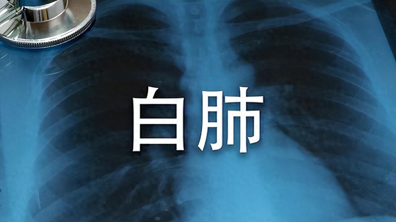 白肺不是新冠专属，4类因素容易患病，早期做好6点预防