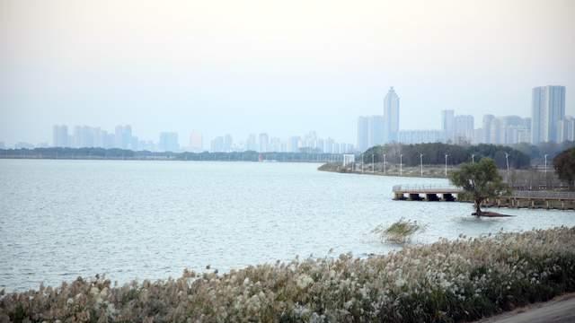 致刚下 “战场” 的芜湖学子：趁夏日正好，尽情撒欢逐自由