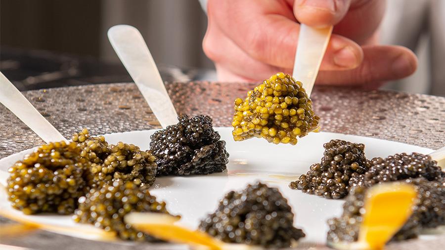 鱼子酱凭什么成为富人美食？它到底高贵在哪里？答案都在这里了