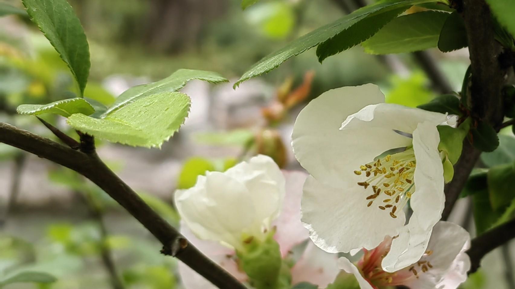 人在职场：越是着急，越要等一等