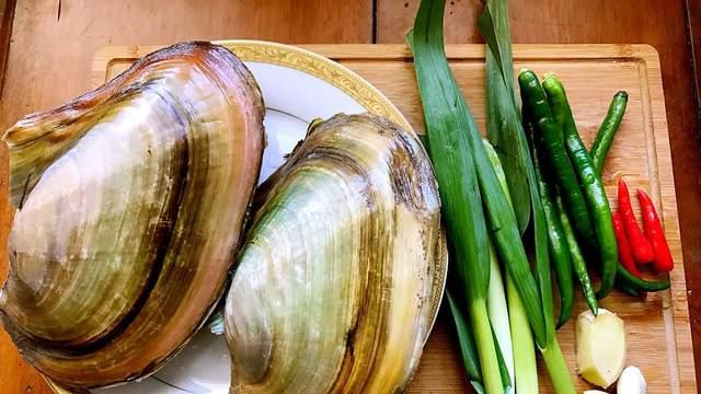 你吃过河蚌吗？