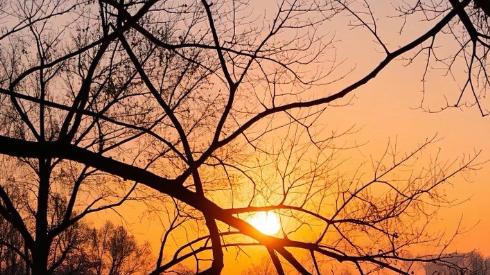 除夕夜没接的电话，三十年友情差点断在十万块上，他蹲在灵堂前哭了