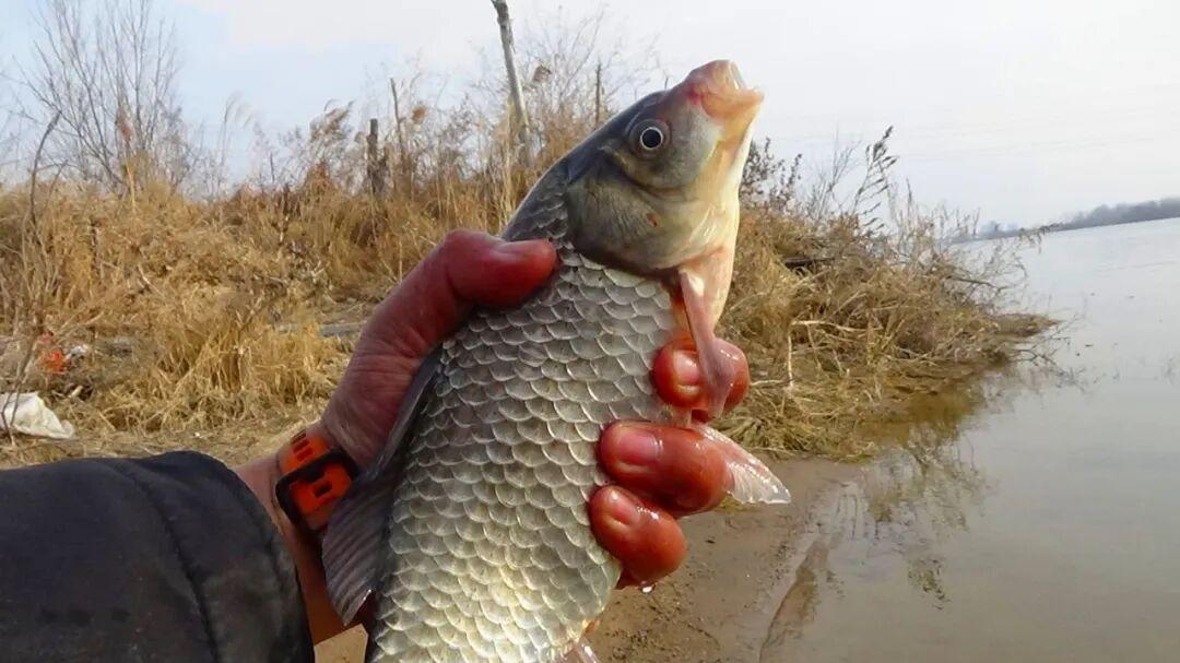 到水边就坐下？难怪你总空军！野钓高手：不怕选位磨叽，就怕贪图便利！