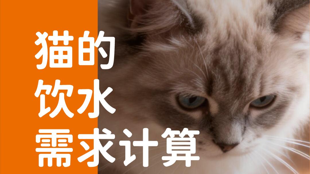 象乡宠物食品 | 猫的饮水需求计算
