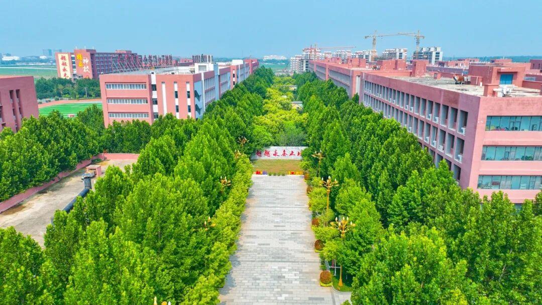 在学习上较真，在生活里自由，以科学育人体系，托举学生成绩发展