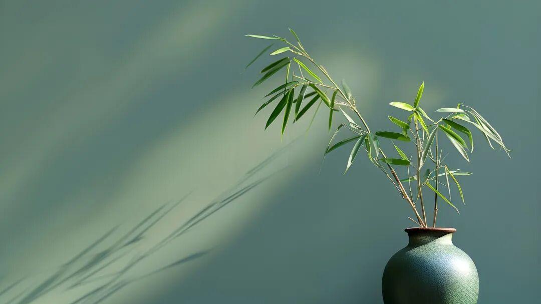 竹影摇曳，福运自来