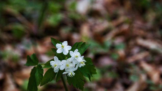 最好的爱情：不是送花送礼，是你需要时，她永远都在
