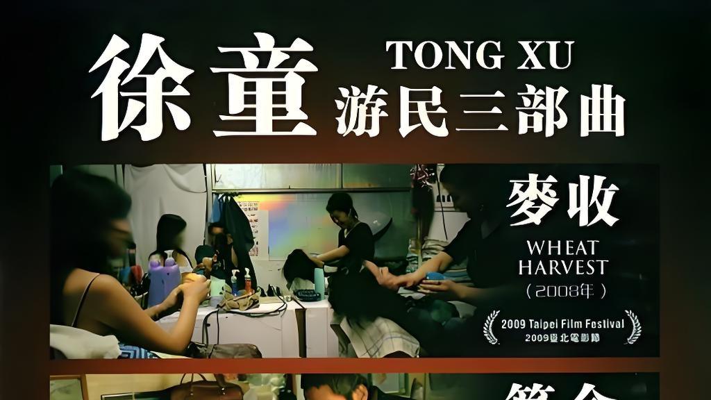 心理咨询专家评说徐童游民三部曲《麦收》《算命》《老唐头》