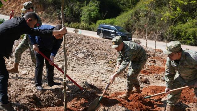 广东平远：栽下从军树 厚植国防情