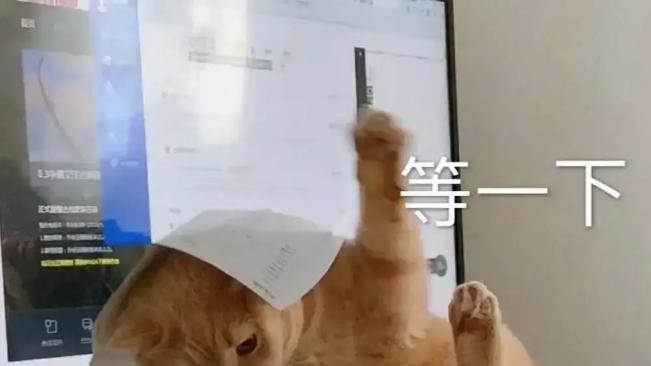 什么牌子猫罐头好？希喂猫罐头对比巅峰、顽皮，谁是适口性之王？