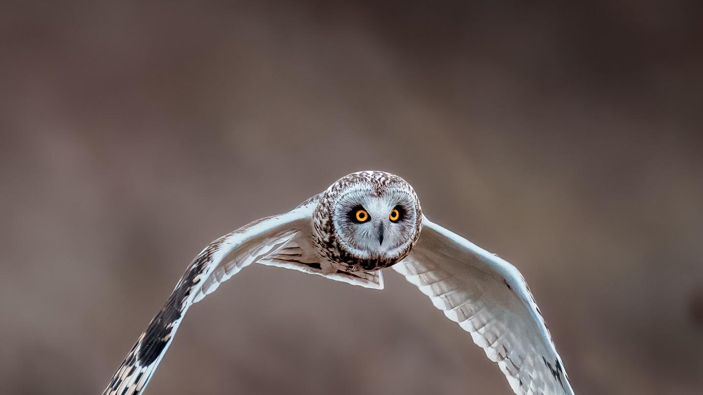 历史上最睿智之人的8句箴言，一旦听过，终生难忘