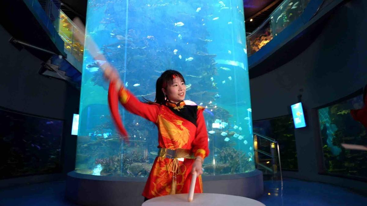 水下非遗大秀、鼓舞东方……青岛海底世界“国潮艺术节”来了！