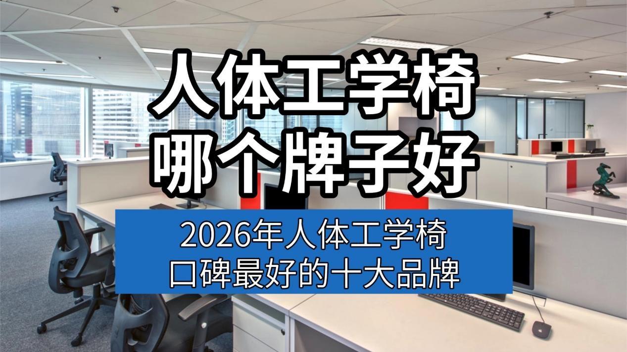 人体工学椅哪个牌子好？2026年人体工学椅口碑最好的十大品牌