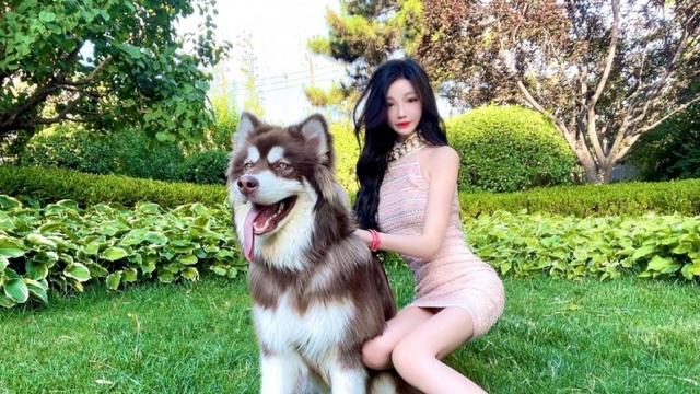 差点被女人毁掉的全国第一高中生，堕落发福被质疑，醒悟后拿顶薪