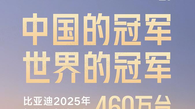 2025年中国和全球的销冠！！比亚迪彰显世界冠军硬核实力，