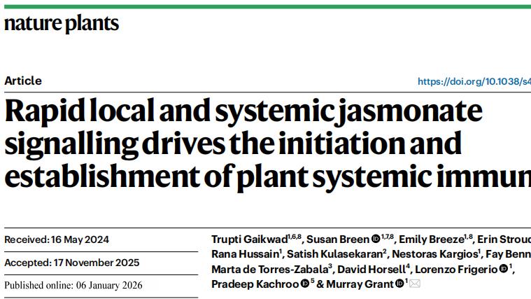 植物 “免疫特种兵” 上线！茉莉酸如何让作物开启 “全身抗敌” 模式？