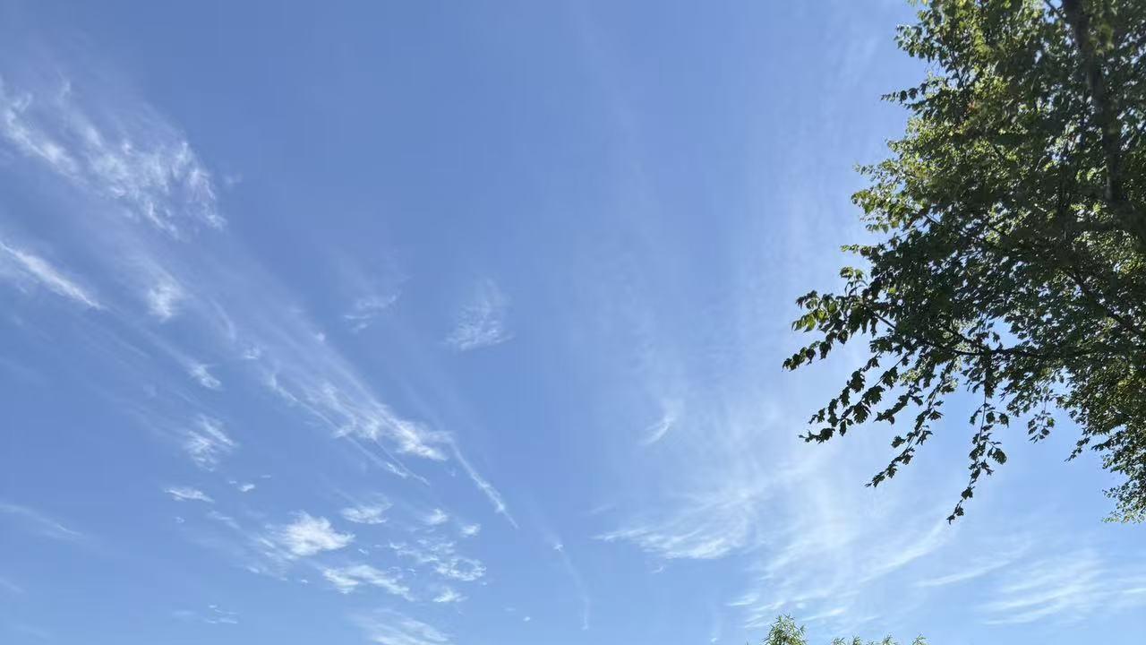 2026年每日通盛及各生肖运势6月23日
