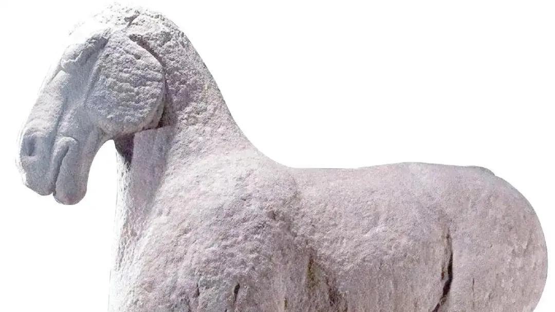 2000年前的罗马石像保存太好了！比上周的还要好