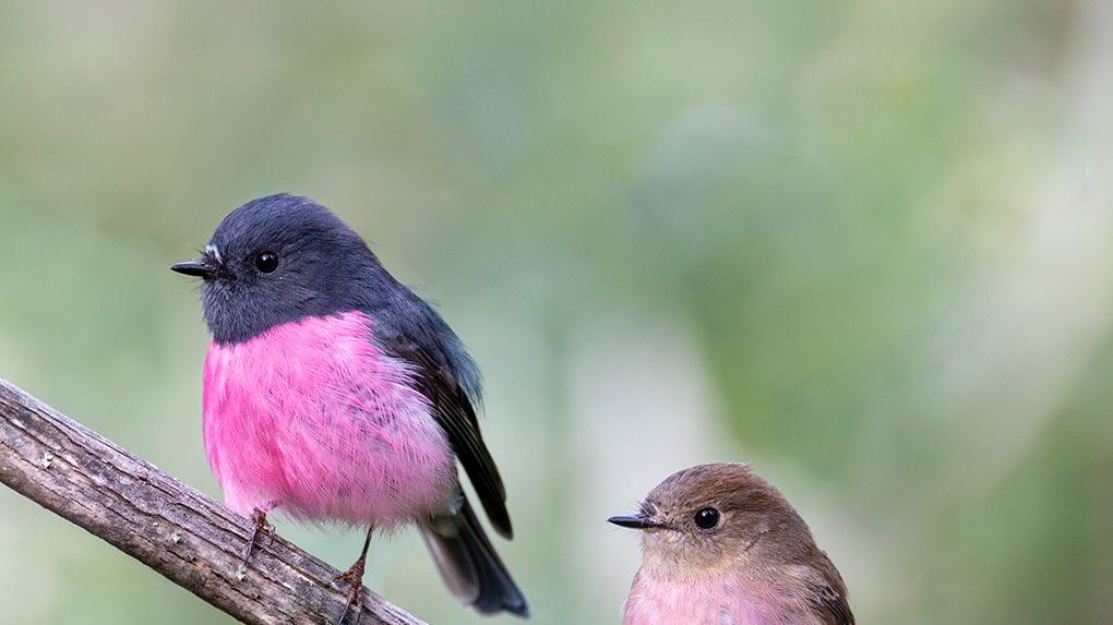 如何运用幽默化解生活中的各类尴尬瞬间？