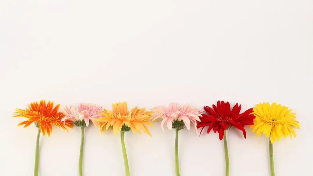 春节前，送你7个很受益的小“建议”！