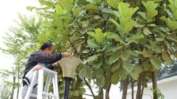 公寓管理系统的软件选型，构建一体化运营的数字平台