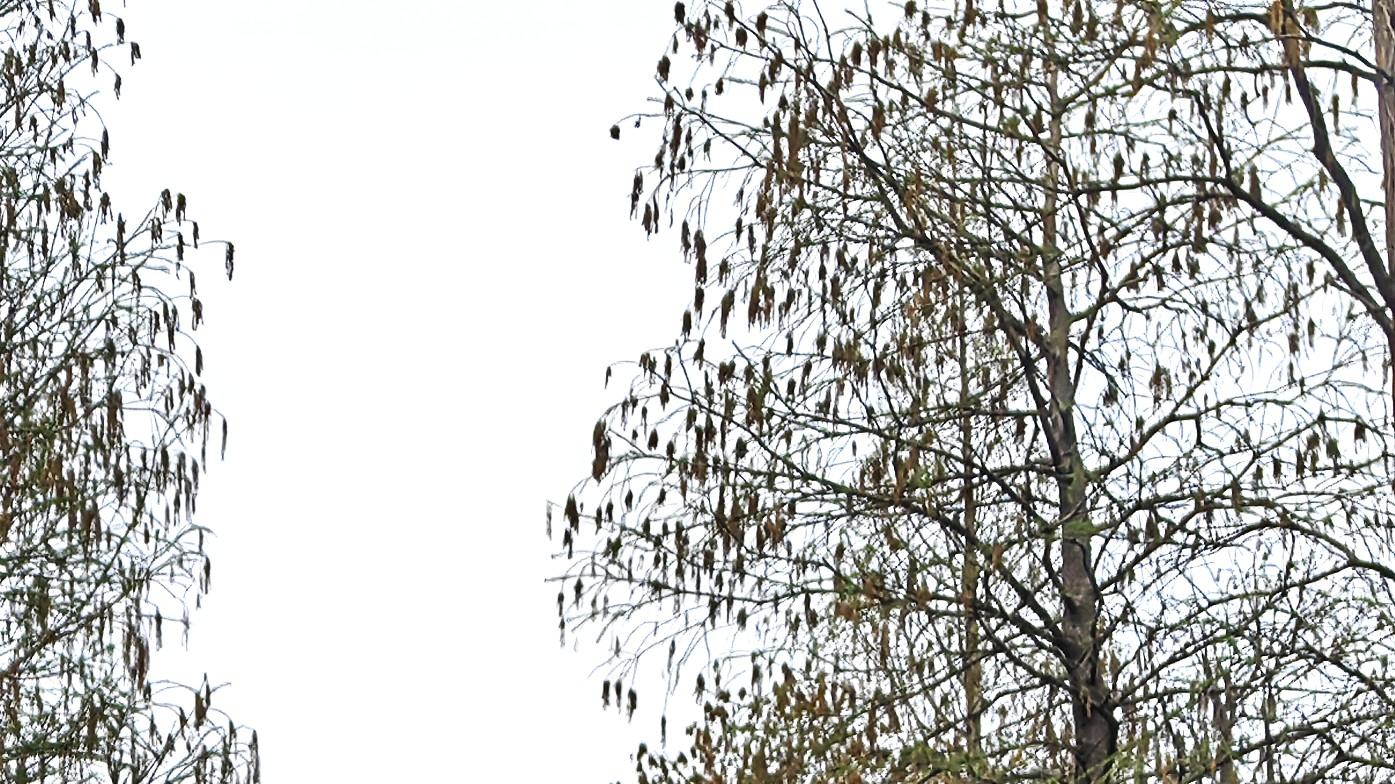 职场难题：实在做不好，却又躲不掉？