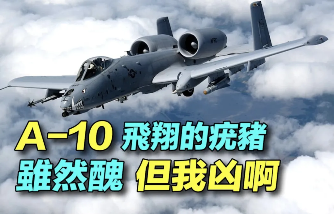 为什么美国不打地面战？真正准备进入伊朗的其实是他们