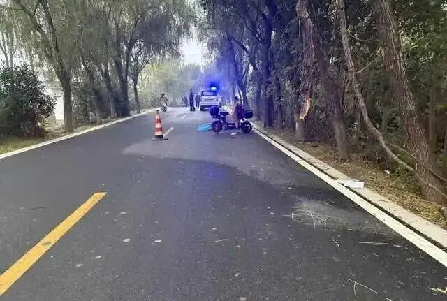 这个法院好野！教师骑车上班撞树枝身亡，判当地政府主赔76万元