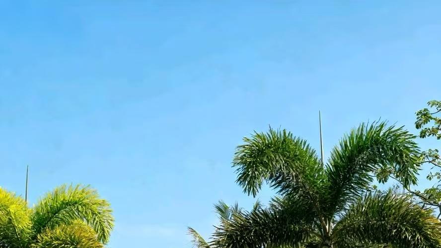 湛江三日游攻略：解锁这座被低估的海滨老城