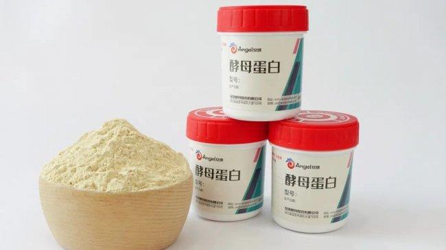 补钙总补不进去？这种“酵母蛋白”或许能帮上大忙