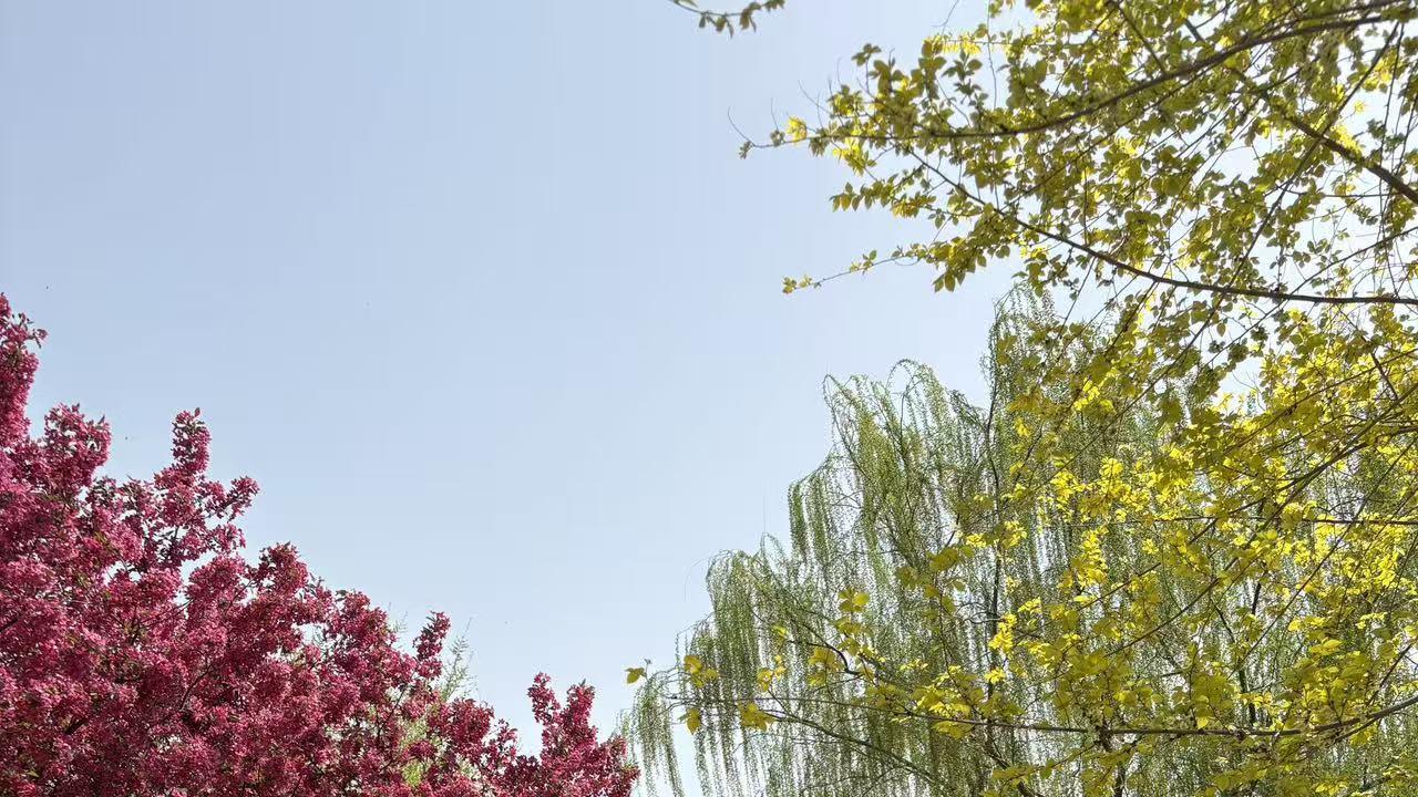 2026年每日通盛及各生肖运势4月16日