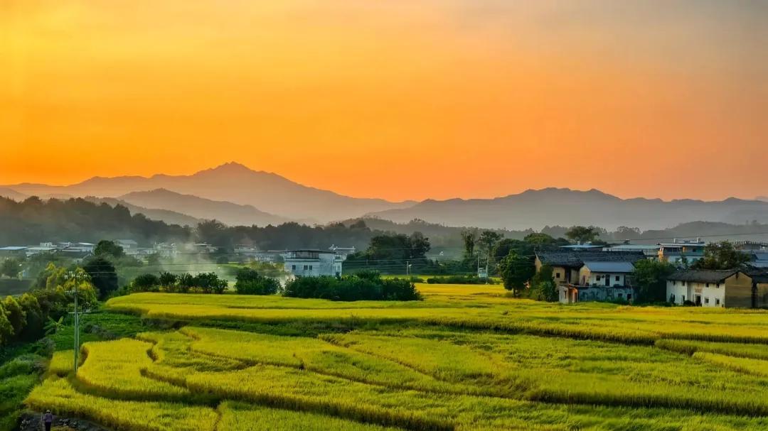 基于GB 28480-2012的有害元素限量：对应测试方法标准解析