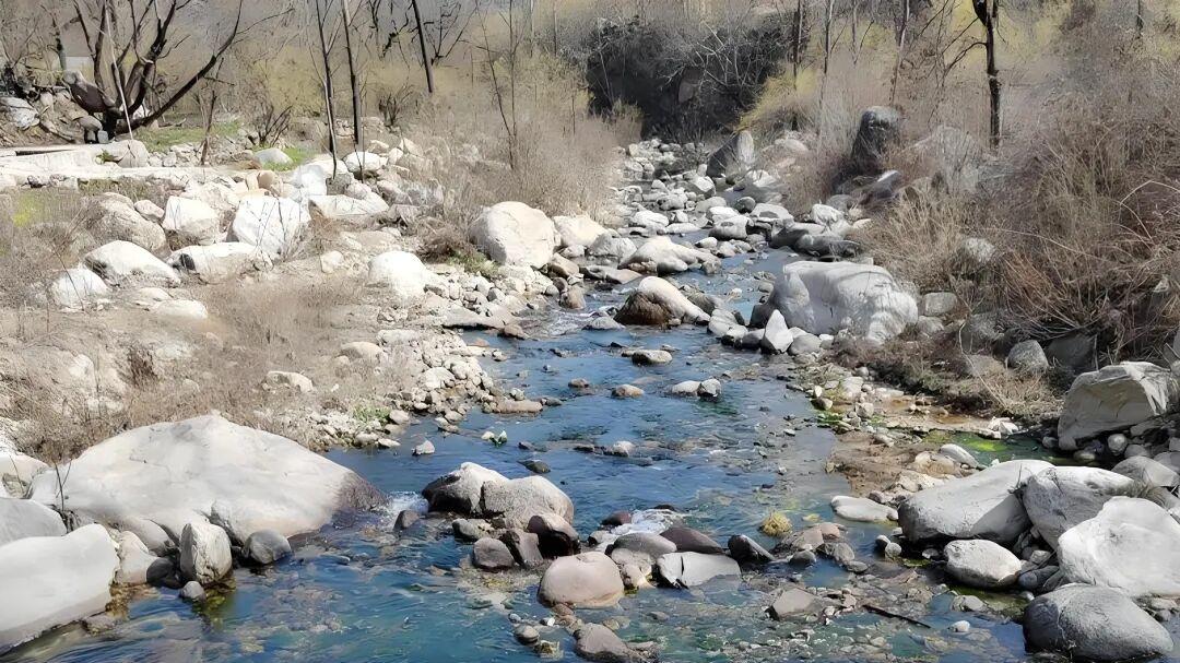 七律·初春登山记