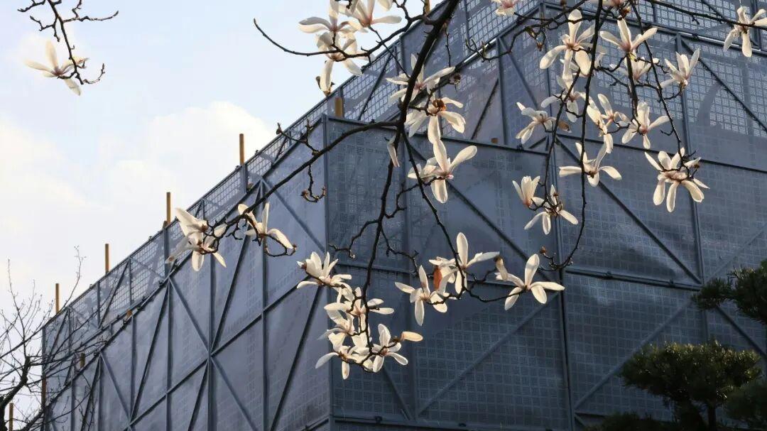 一线访谈 | 一千米，是我和导弹的距离