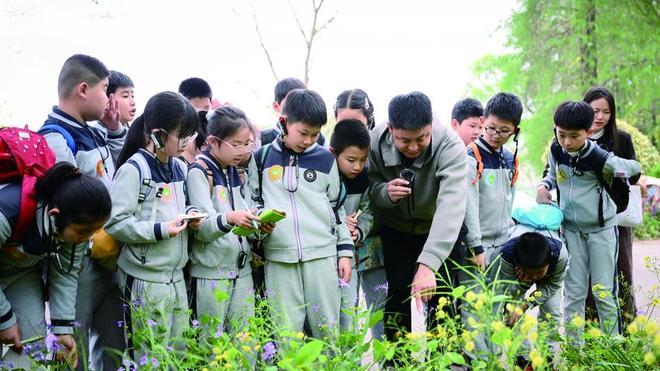 2026年江苏省暨南京市“蔷薇花信”生态实践活动在南京植物园启幕