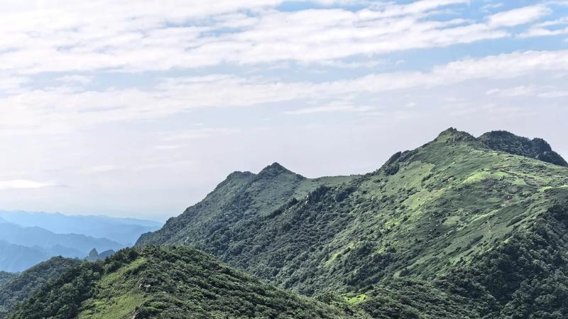 人生从不是只有一路向上