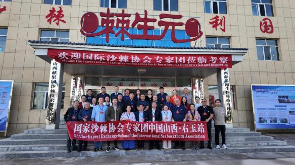 山西献果园生物科技：沙棘领航，绘就绿色健康新画卷