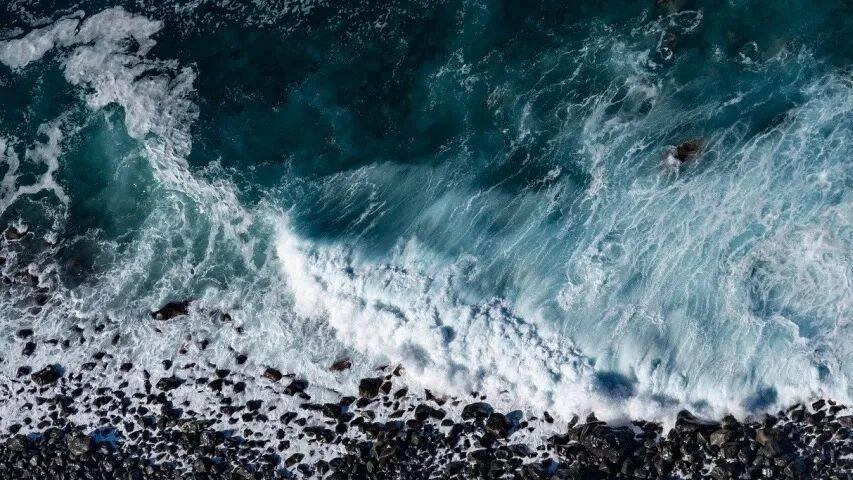 家电大事多：拼多多被罚！TCL创维重构海尔美的格力方太海信出拳