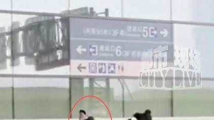 全网笑裂！老妈拍“儿子追车”配BGM泪目，儿子回“送错口”炸翻评论区：这才是中国式家庭的黑色幽默！