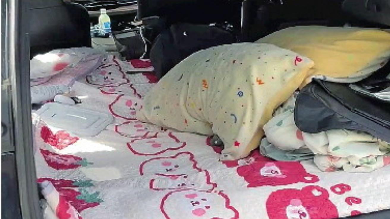 不少人都在呼吁让顺风车回归本质，顺风车本质和现状又是什么