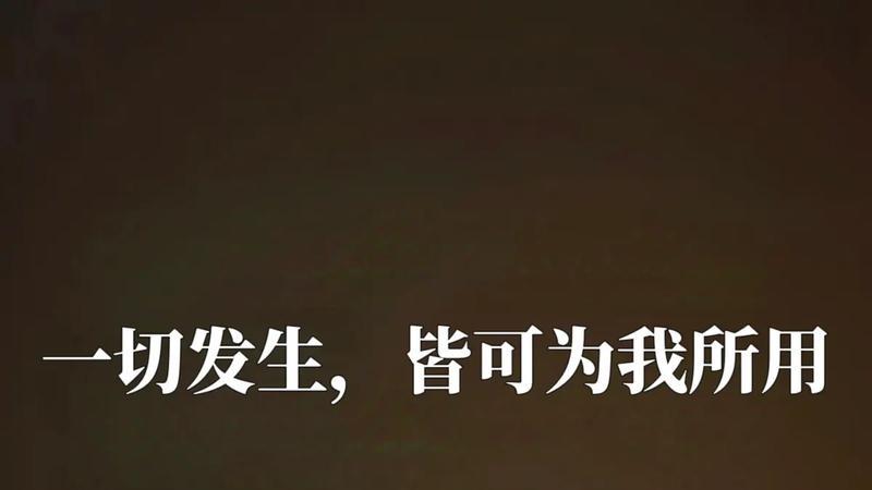 一切发生，皆可为我所用